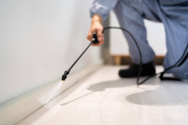 Professional exterminator conducting IPM assessment in Cedar Grove